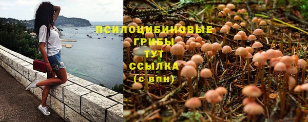 а пвп мука Алексин