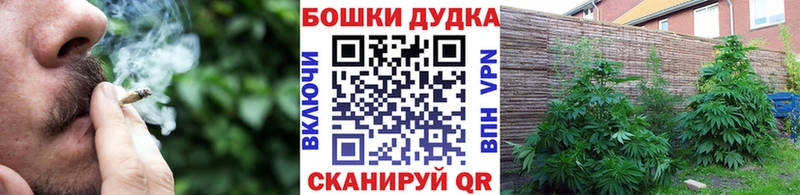 Канабис White Widow  Нестеров 
